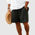 Theodore Willow Sunset Striped Shorts